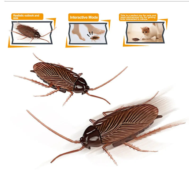Electric vibration pet toy in cockroach, dragonfly, tarantula, or mouse design showing brush walking simulation