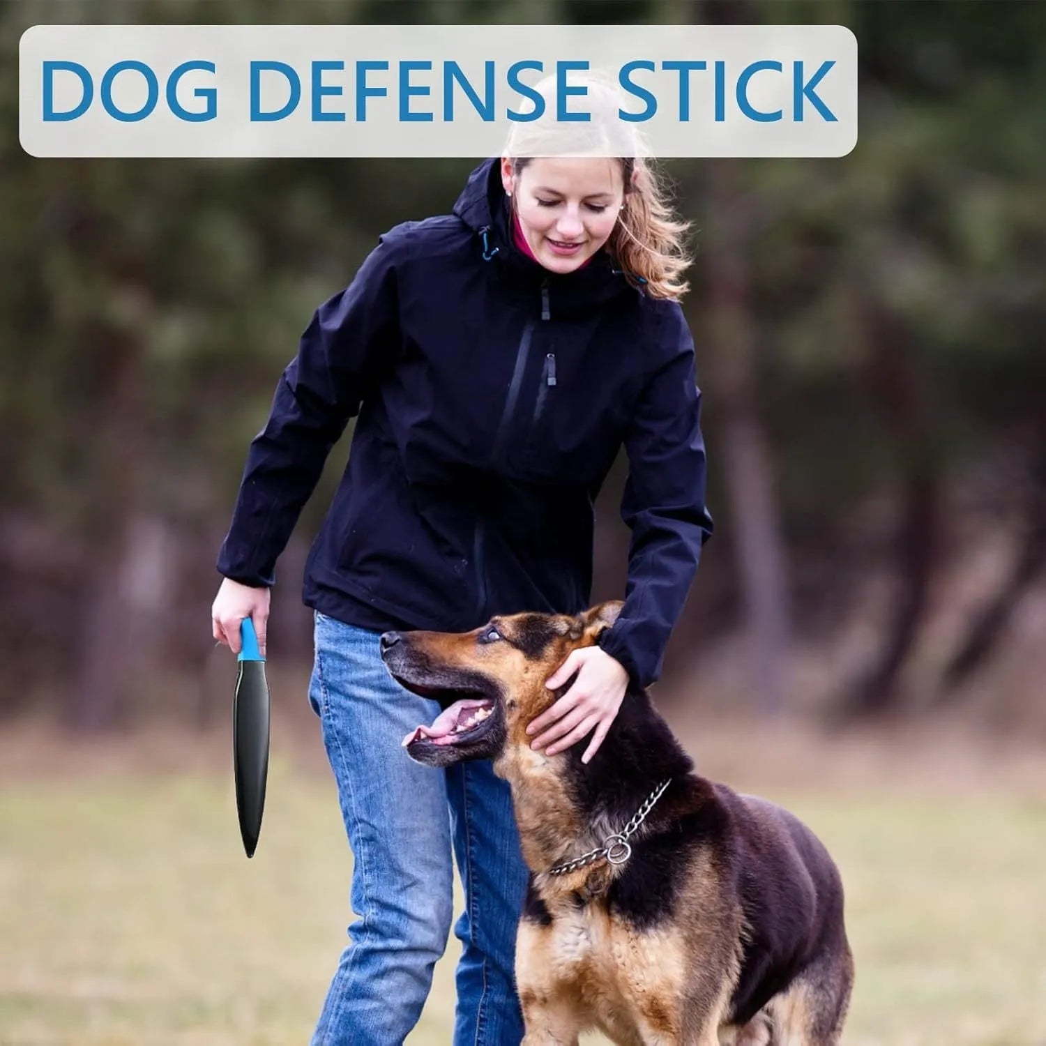 Blue handled nylon dog break stick for training and chewing, 35cm long.