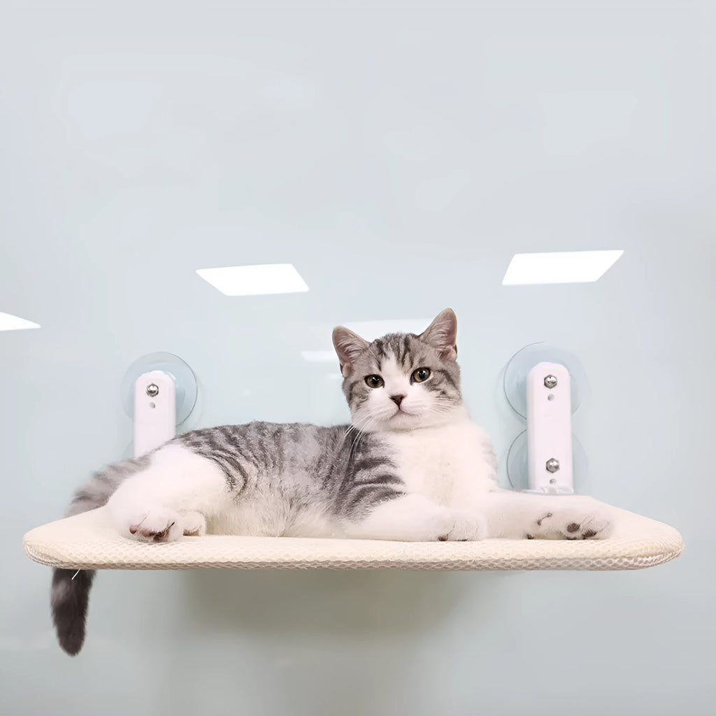 Grey plush foldable cat hammock bed attached to a window with stainless steel suction cups