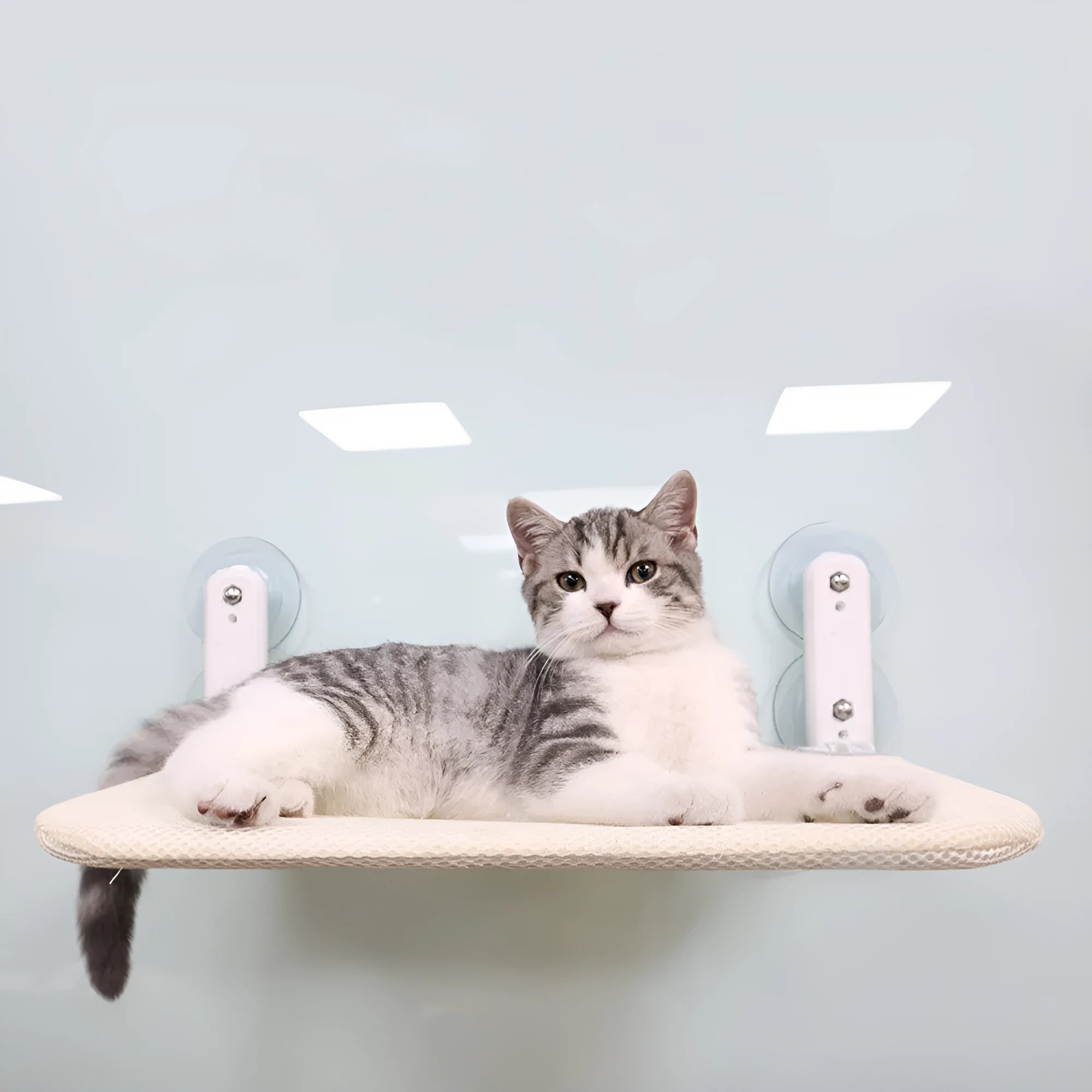 Grey plush foldable cat hammock bed attached to a window with stainless steel suction cups