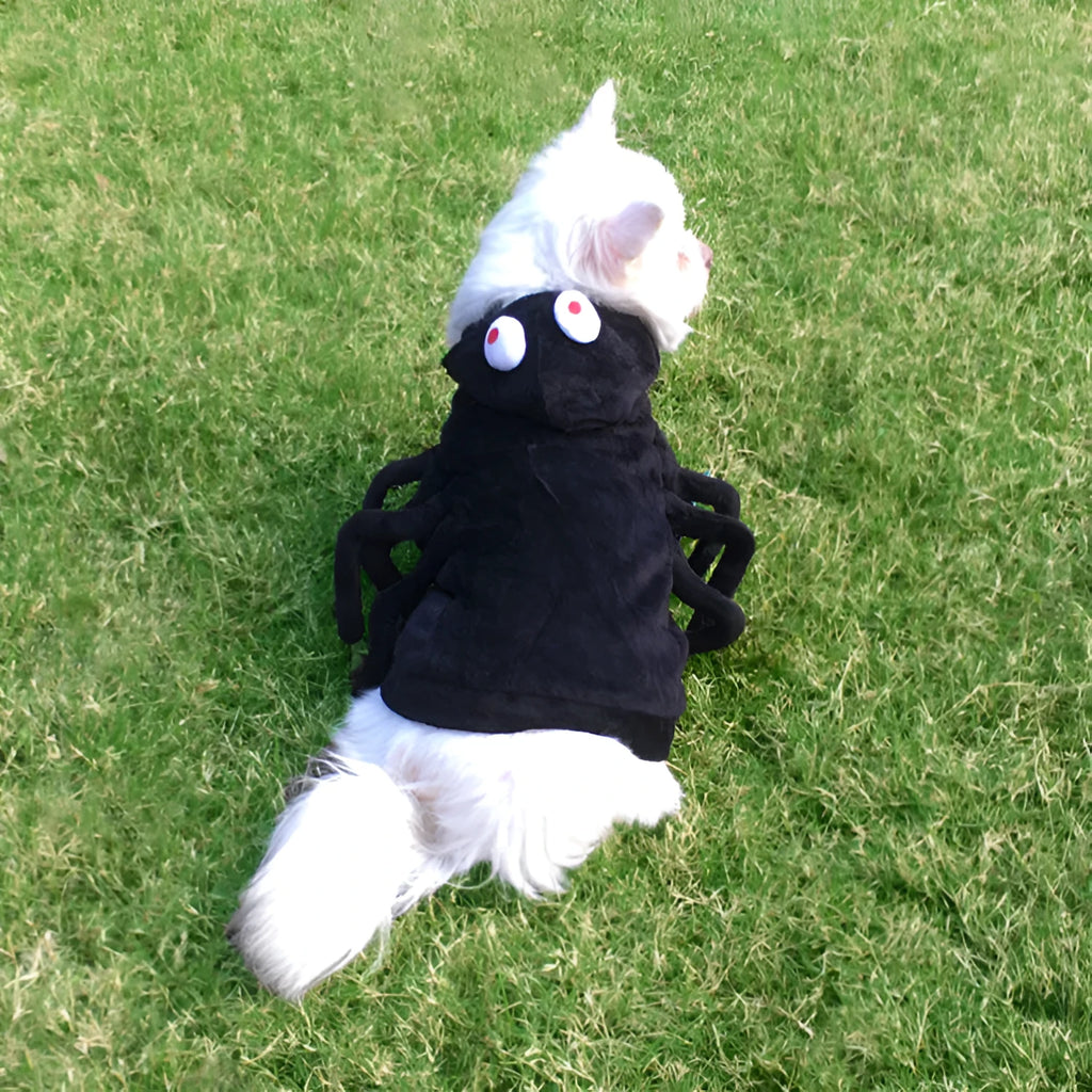 Halloween spider costume for dogs and cats in polyester with full-length design