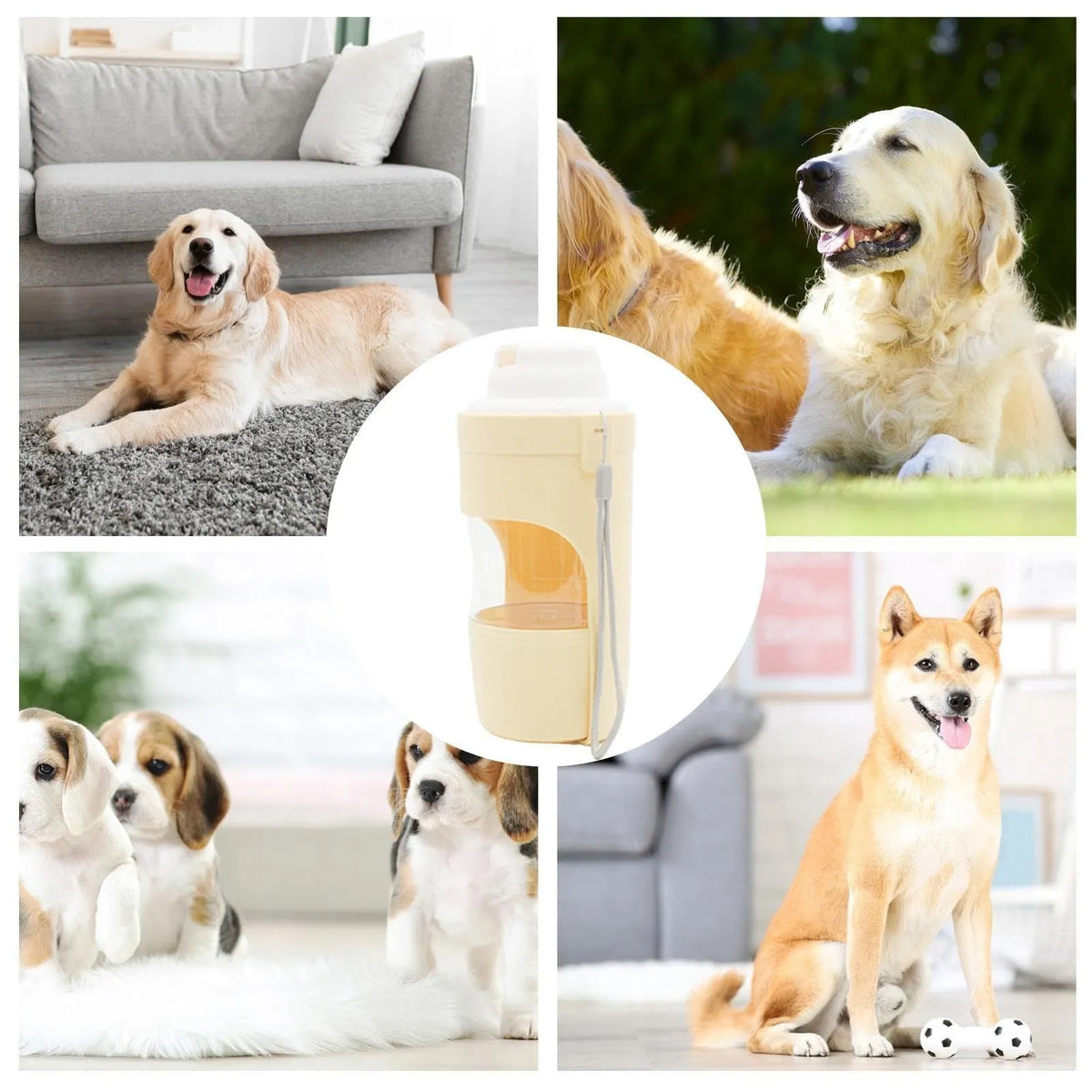 2-in-1 travel dog water bottle with feeder showing grey colour option with lanyard attachment