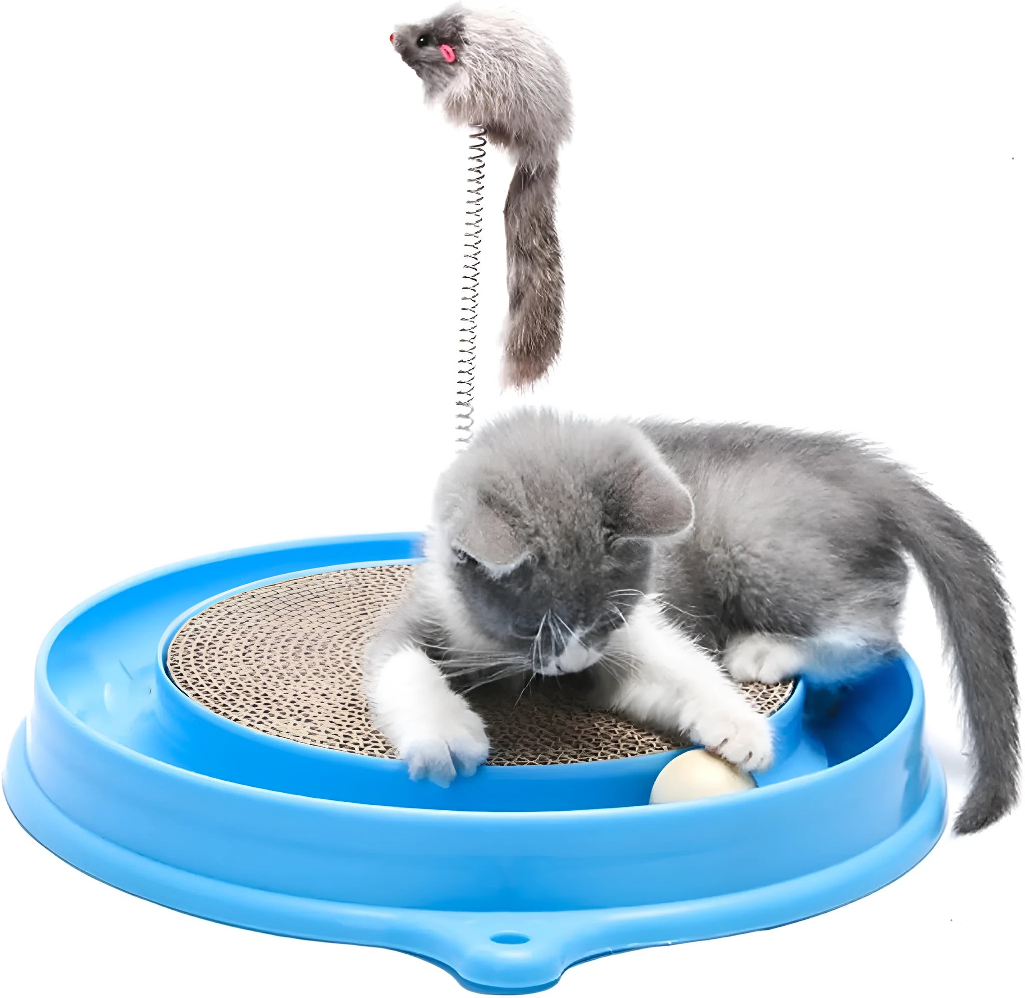 Blue circular cat scratcher with ball track and replaceable cardboard scratching surface