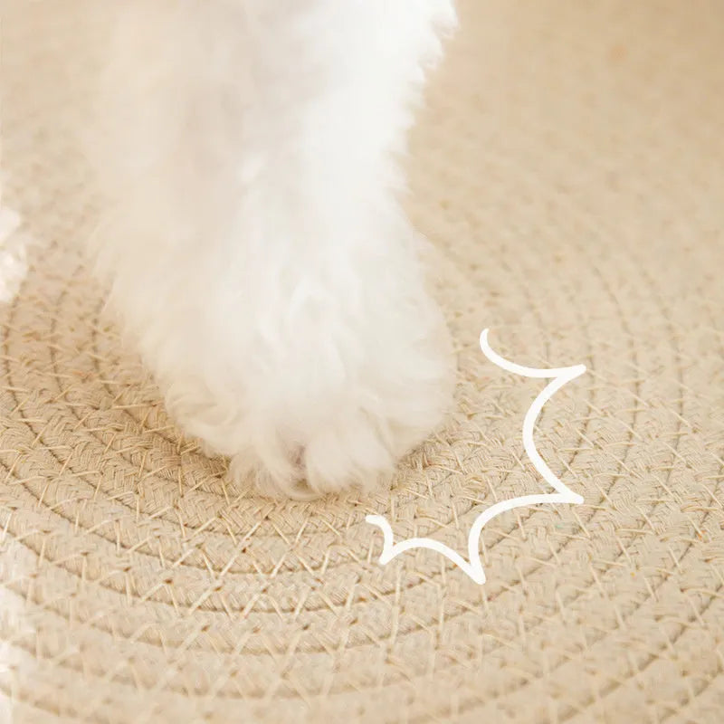 Green oval sisal cat scratch pad bowl serving as a cat bed and furniture protector.