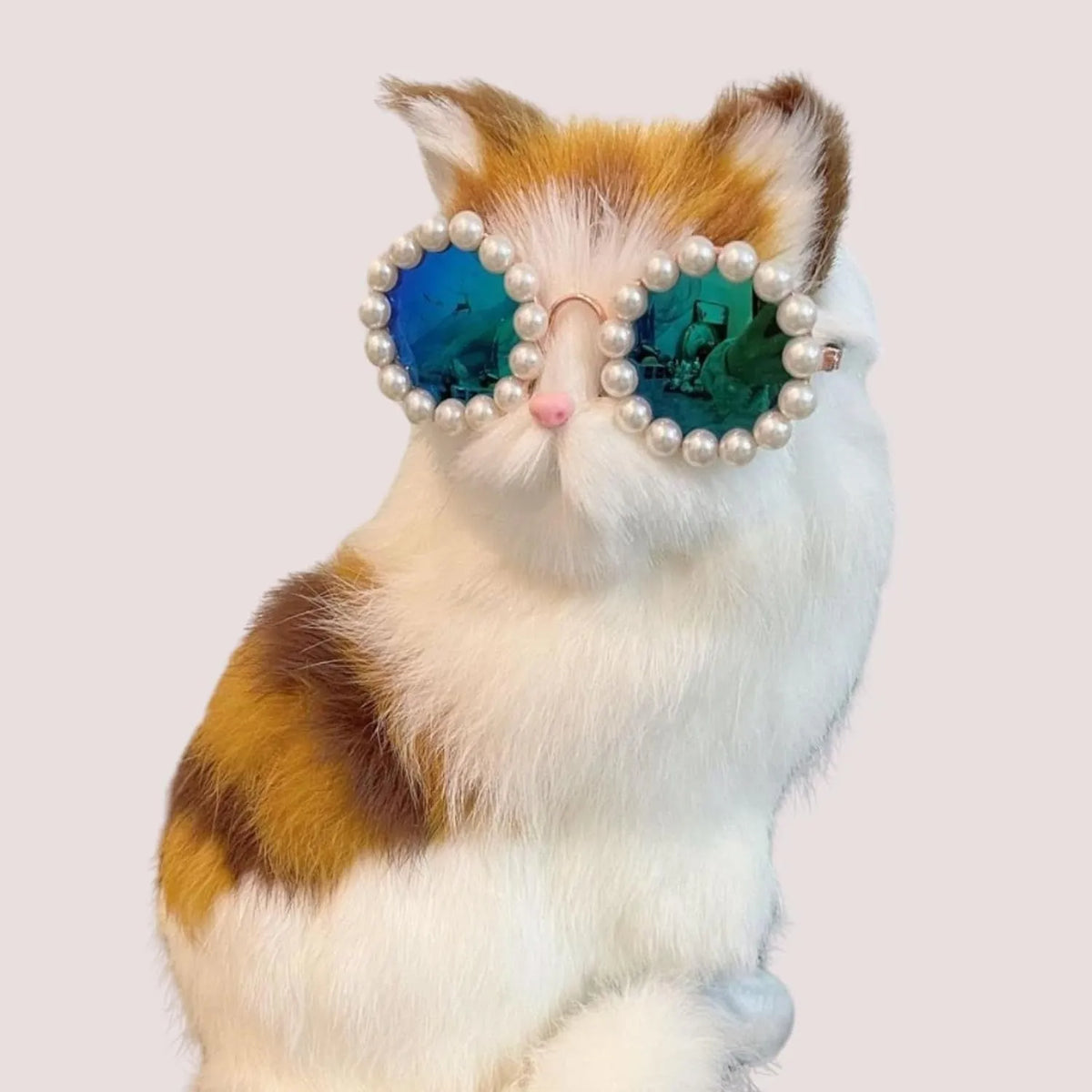 Pearl-rimmed round sunglasses on a pet dog, shown in blue colour.