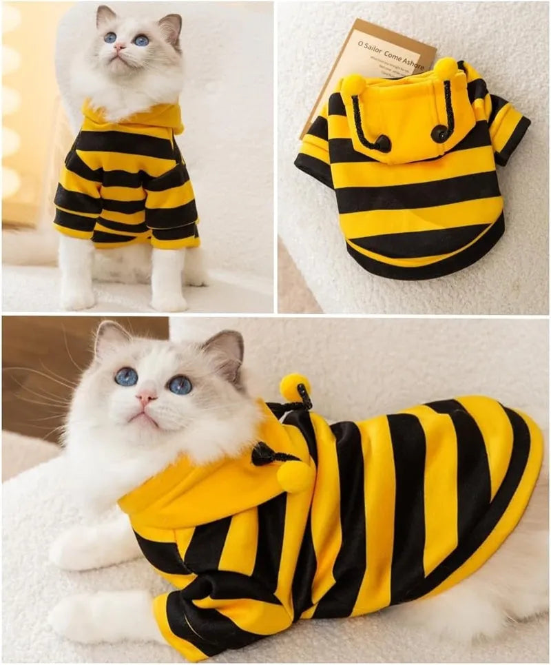 Yellow and black striped bee antenna hoodie for small dogs with flexible antennae and back belt hook