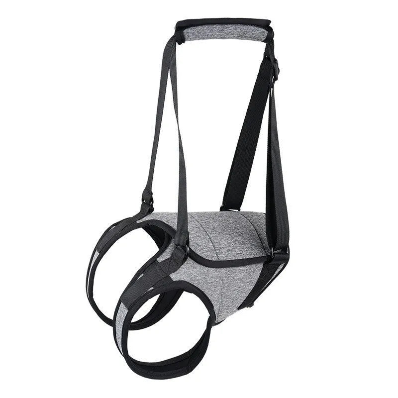 Grey neoprene dog rear leg support harness showing adjustable waist and thigh straps on a size chart.