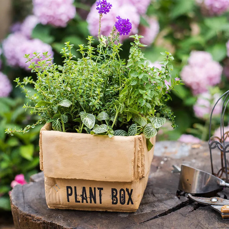 Cement brown paper box flowerpot with bottom drainage hole in Nordic style