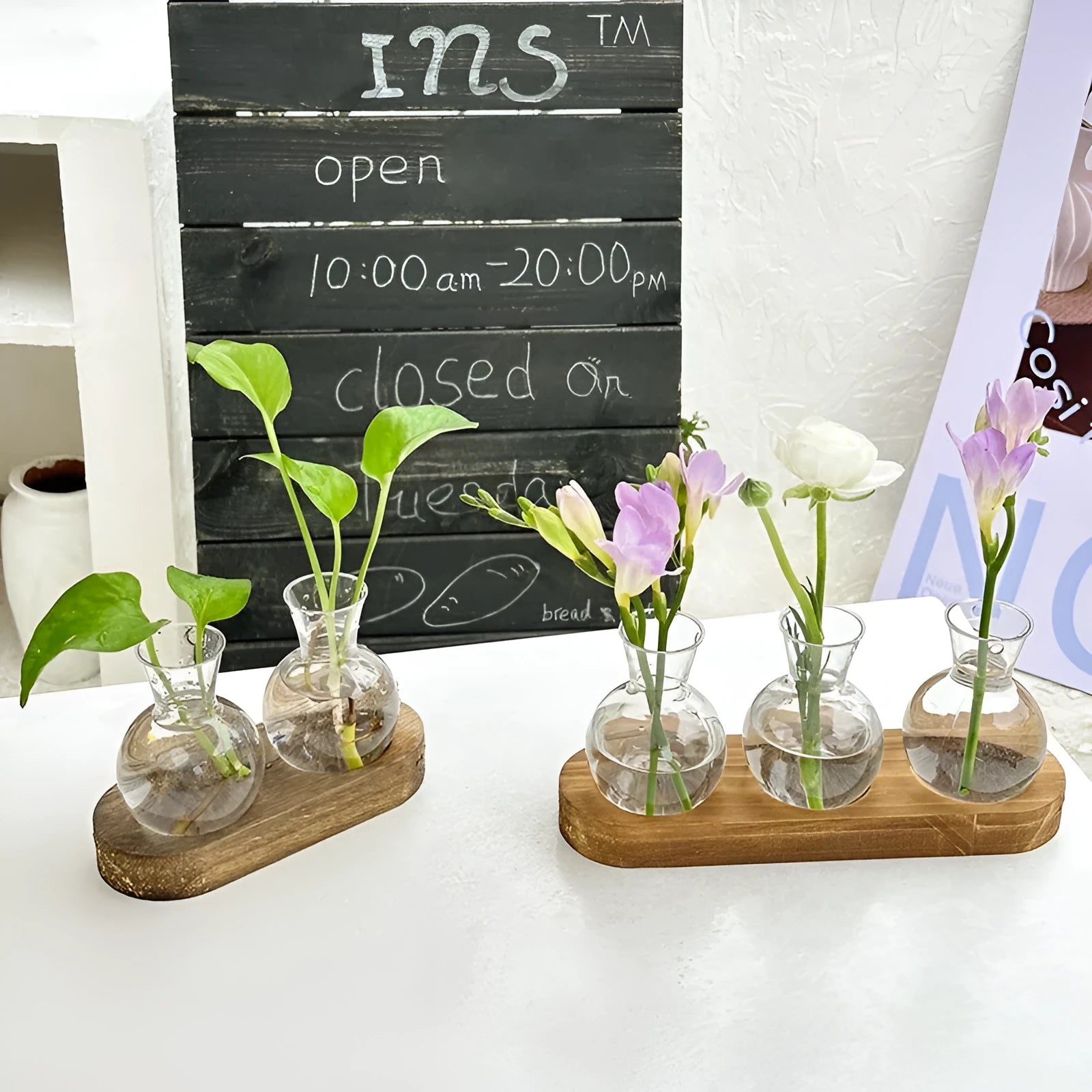 Transparent hydroponic vase on wooden frame in modern design