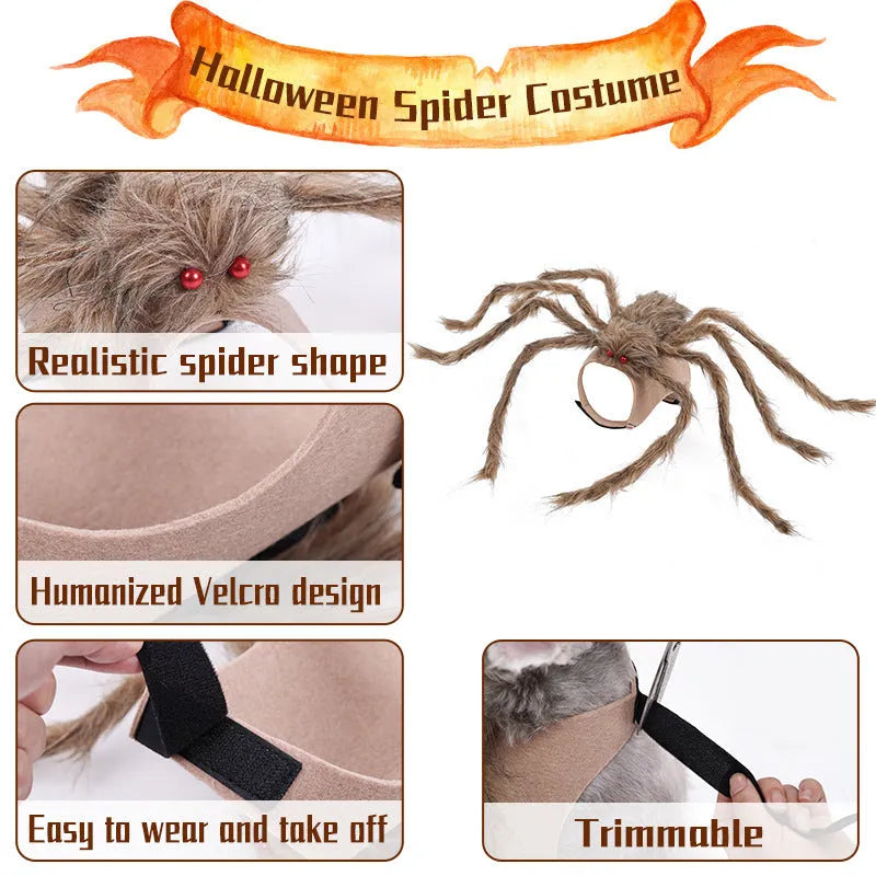 Halloween spider costume for pets in grey, brown, black and purple with leg straps
