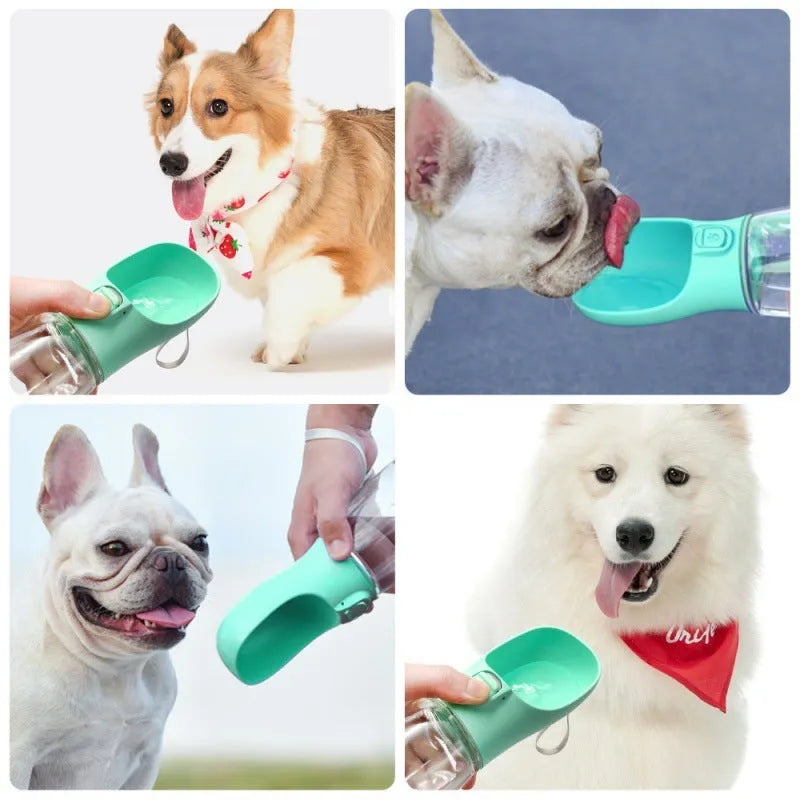 Portable plastic dog water cup in green and white with 380ml capacity and lid on grass