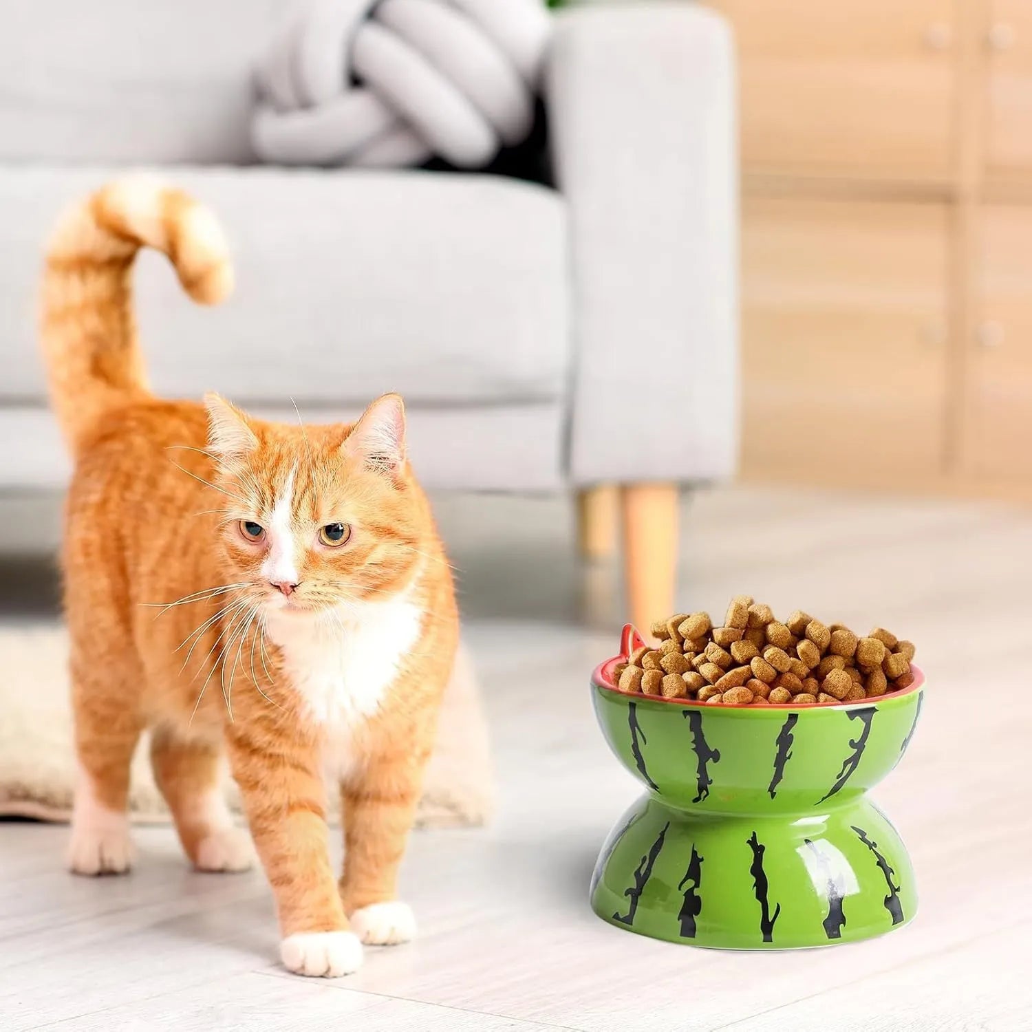 Ceramic elevated cat bowl with tilted design in orange, pitaya, or watermelon pattern.