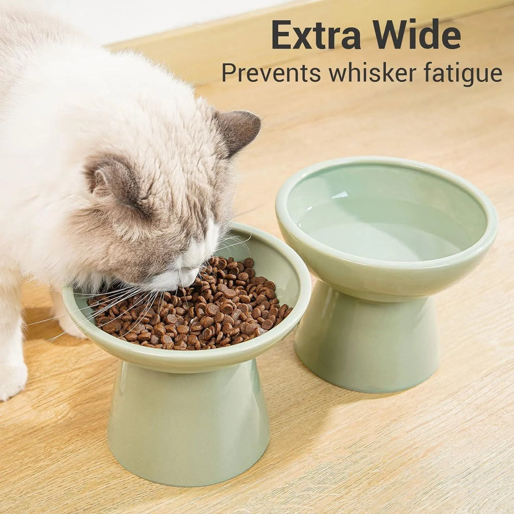 Blue ceramic elevated cat food bowl with wide shallow dish on a white surface.