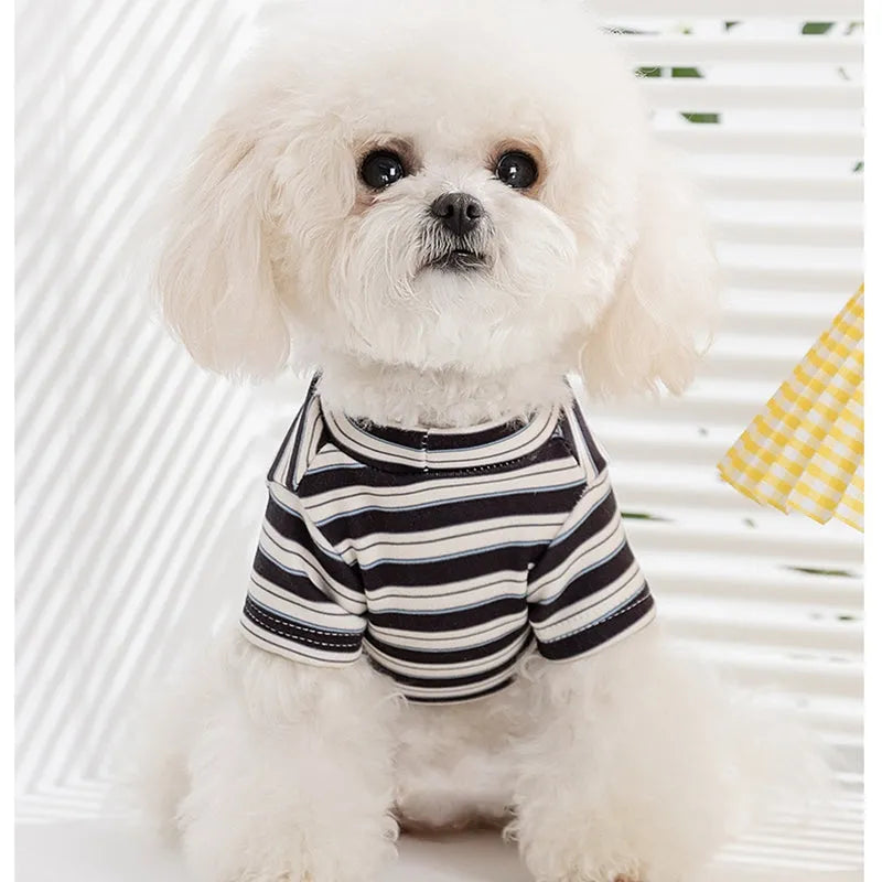 Striped two-legged pet shirt for small dogs and cats, available in yellow-brown bear patch or black-white cat patch, sizes XS to XXL.