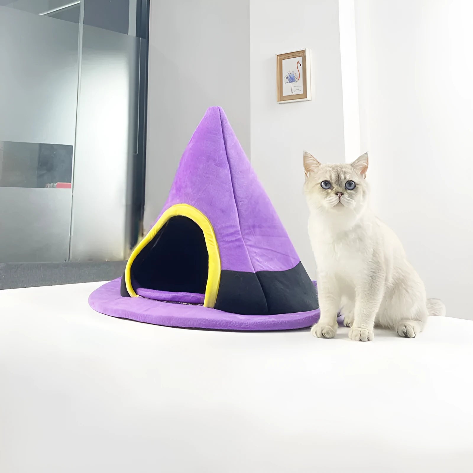 Purple witch hat-shaped cloth cat nest for pets, shown with dimensions of 60 by 45 centimetres.
