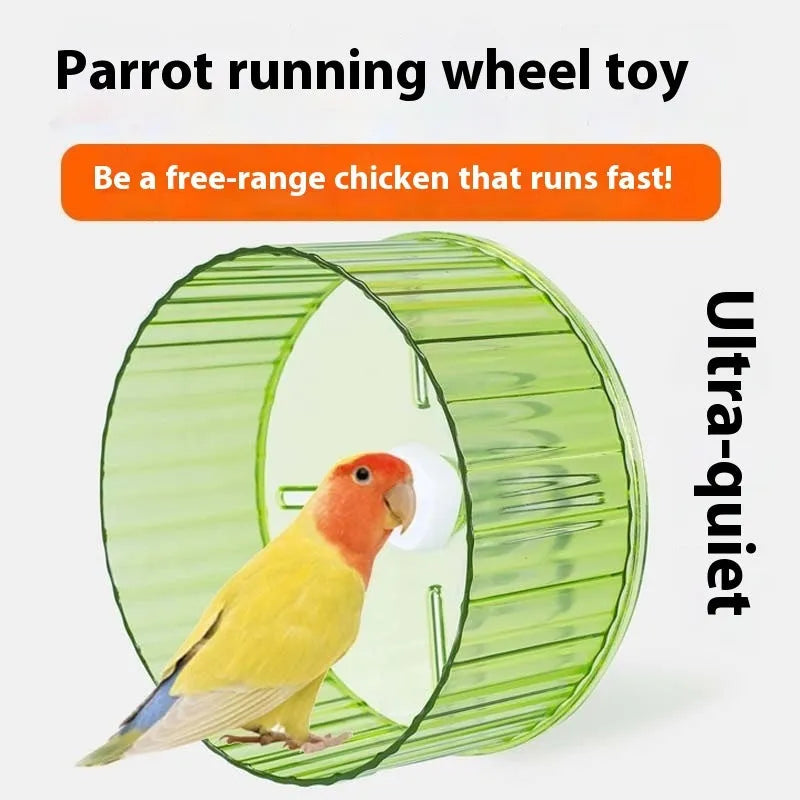 21cm plastic bird running wheel toy in transparent, green, grey, orange, or purple colour options