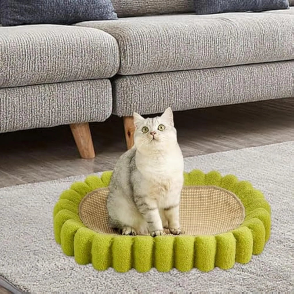 Green oval sisal cat scratch pad bowl serving as a cat bed and furniture protector.