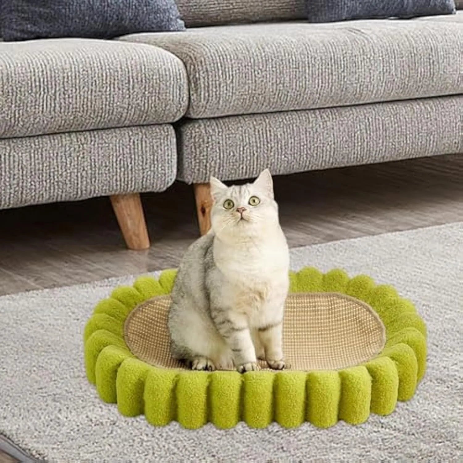 Green oval sisal cat scratch pad bowl serving as a cat bed and furniture protector.