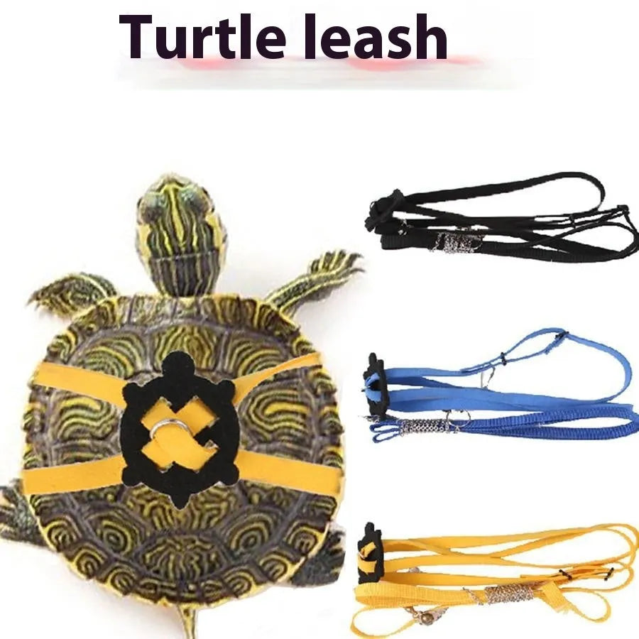 Yellow adjustable turtle vest harness with bell and traction rope on a small pet turtle