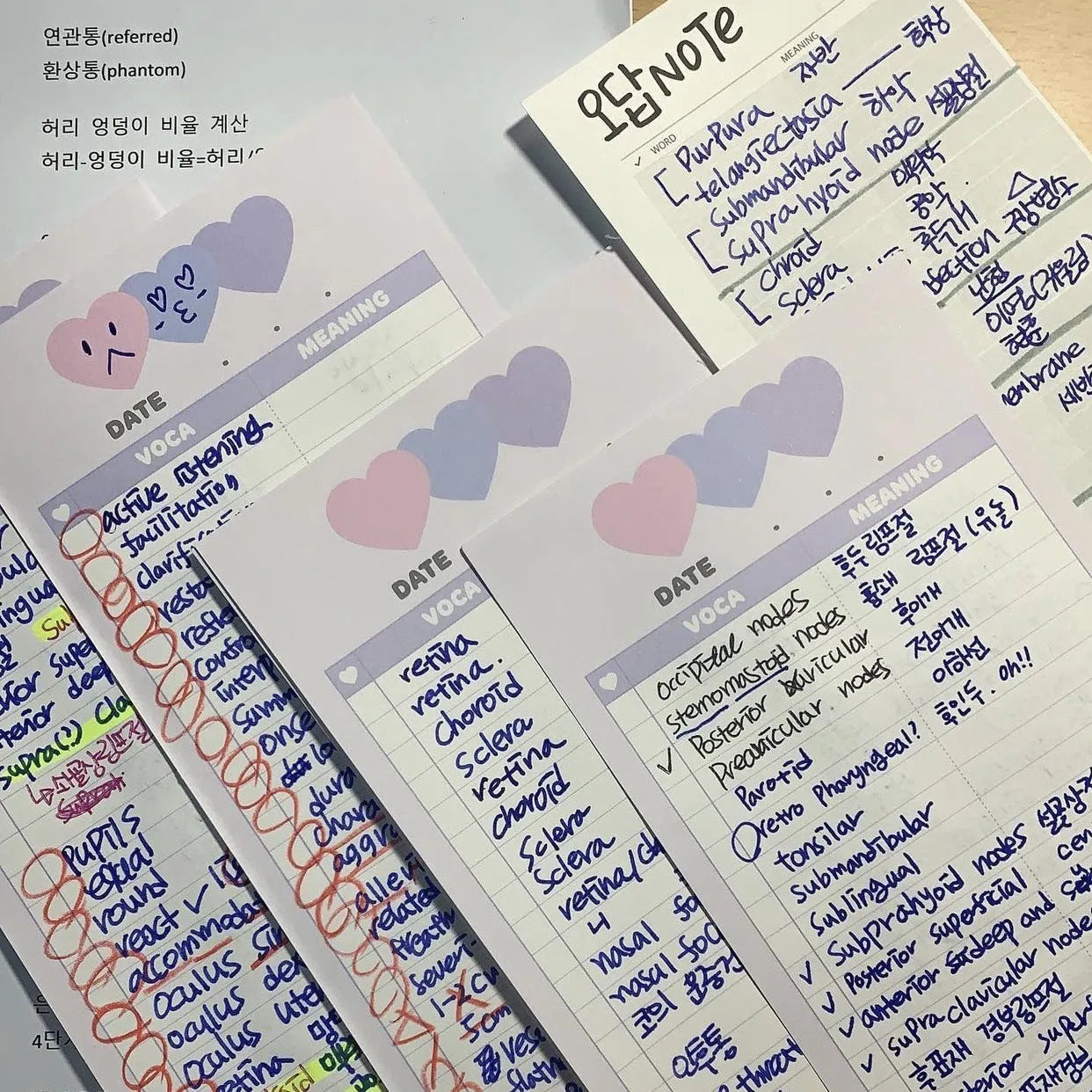 Vertical English words notepad with double-sided printing in half B5 size