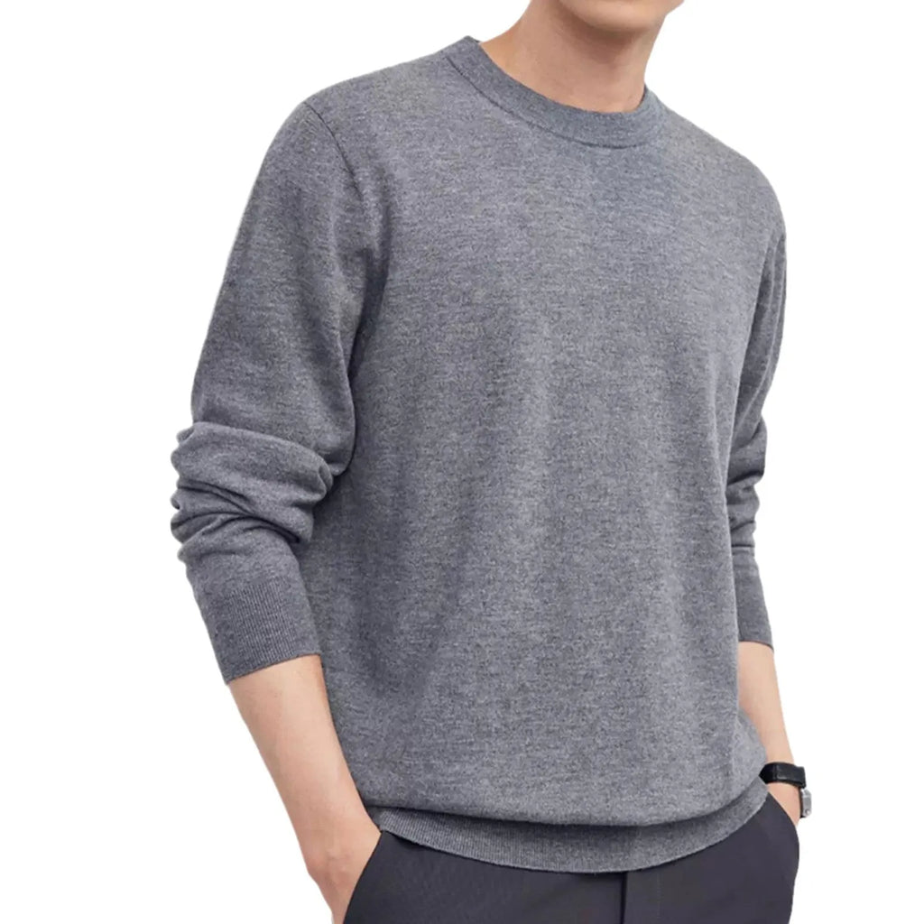 Men's standard wool pullover sweater in regular fit for business casual autumn winter wear