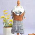 Orange and dark blue cotton dog suit shirt for small dogs in S to 2XL sizes