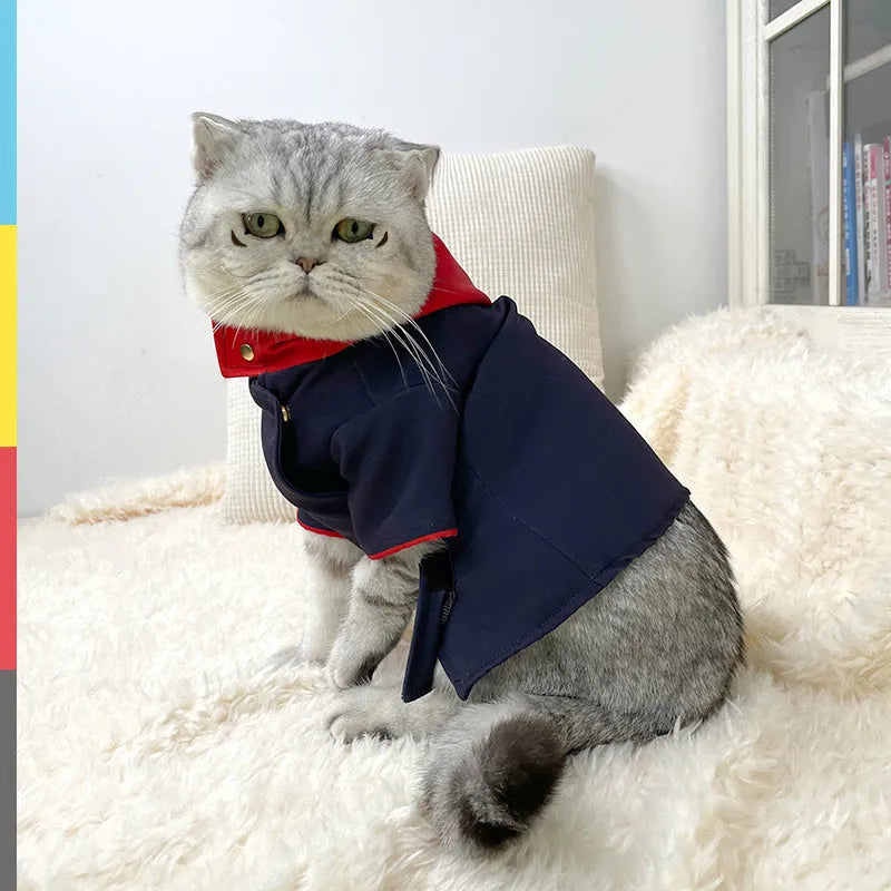 Pet wearing tiger staff yuren coloured hoodie costume for photography