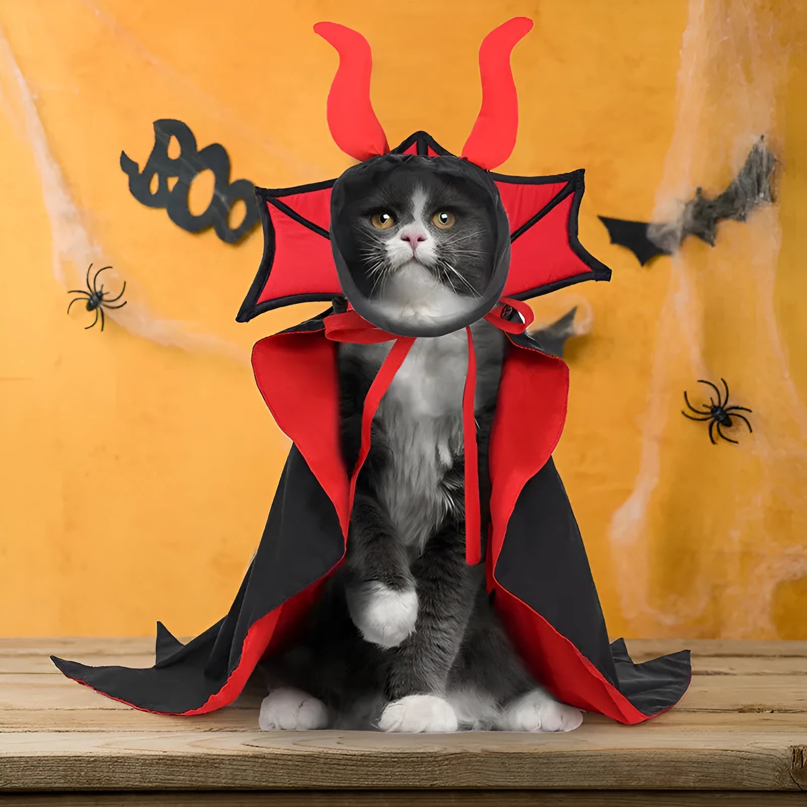 Black Halloween vampire costume for a pet, featuring a long cloak and pointed witch hat.