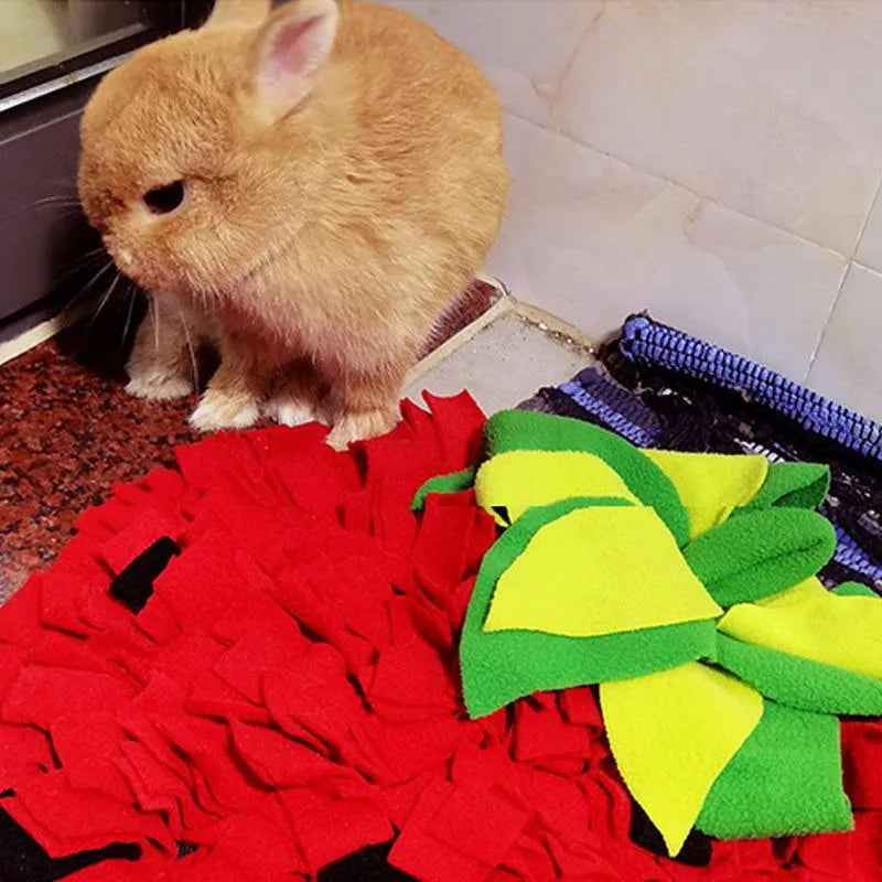 Red and green strawberry-shaped pet sniffing mat for slow feeding dogs and cats.