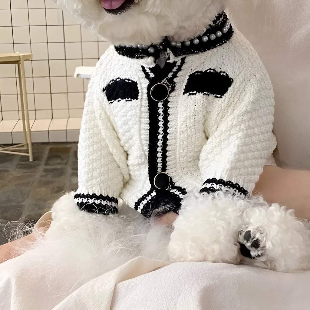 Korean style white puppy sweater with pearl collar on small dog