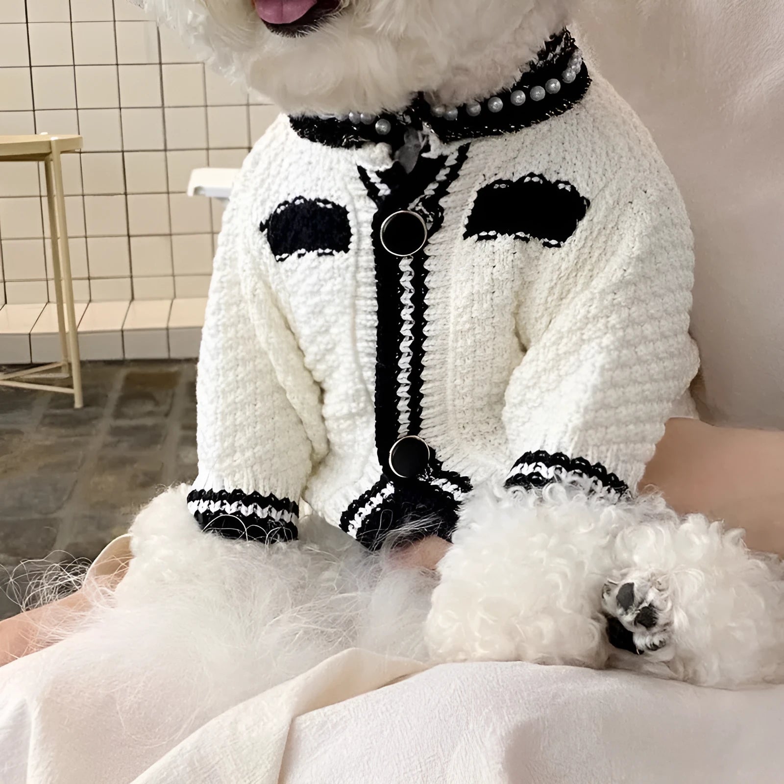 Korean style white puppy sweater with pearl collar on small dog