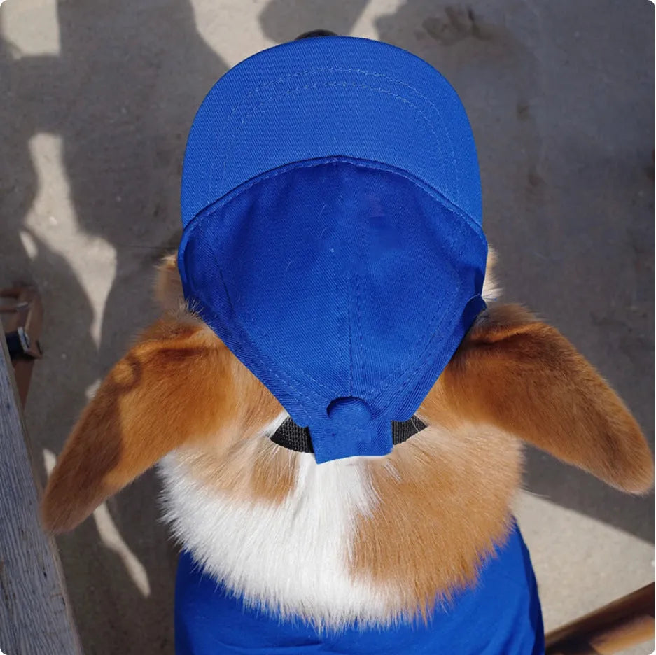 New Adjustable Sun-proof Exposed Ears Pet Hat in apricot cotton baseball cap style on a pet