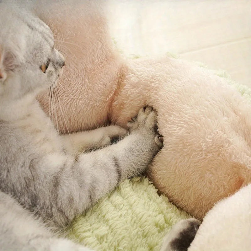 Soft cat litter kennel with removable cushion in green colour showing enclosed pet bed design
