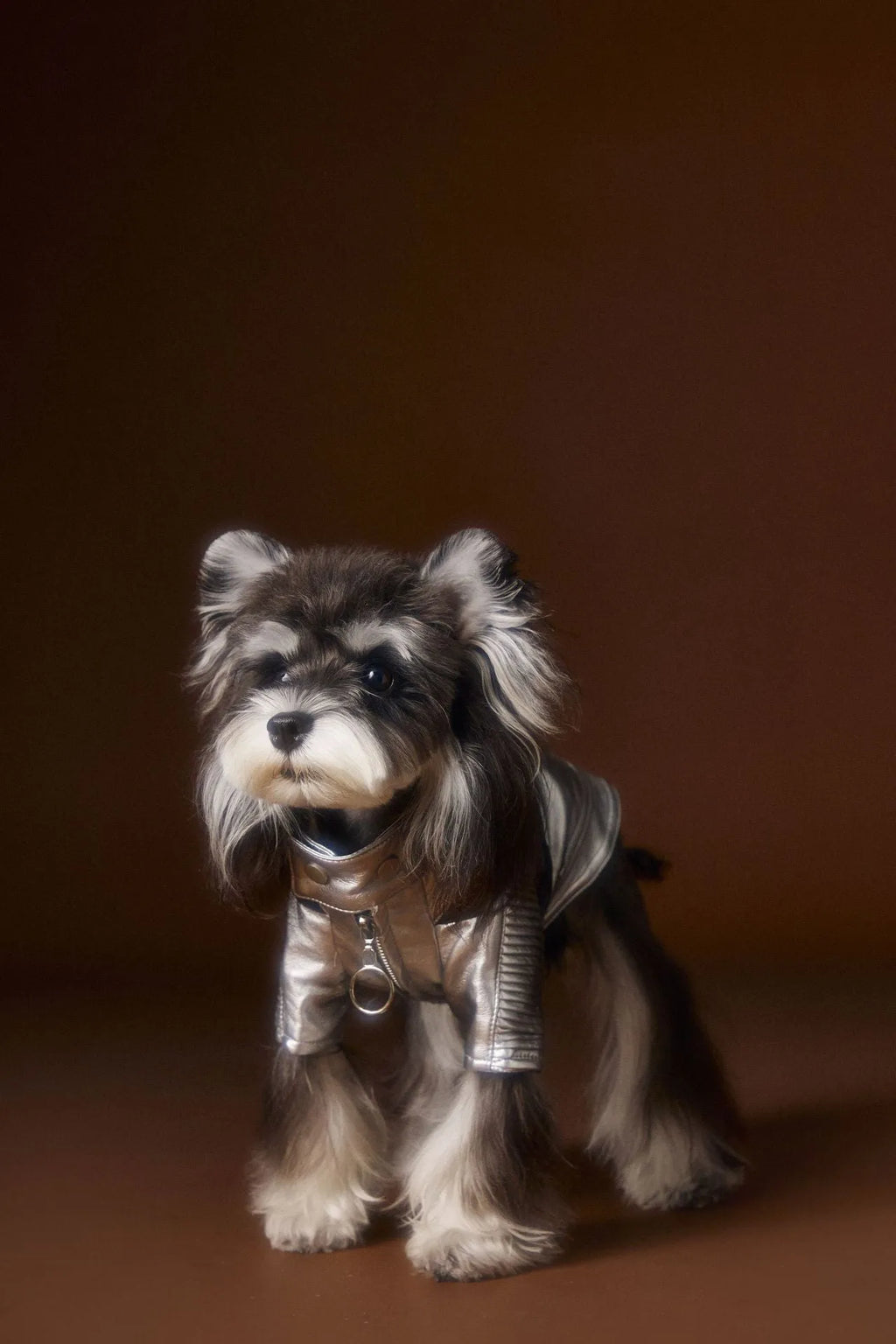 Distressed silver PU and viscose pet coat for small to medium dogs, available in sizes XS to XXL
