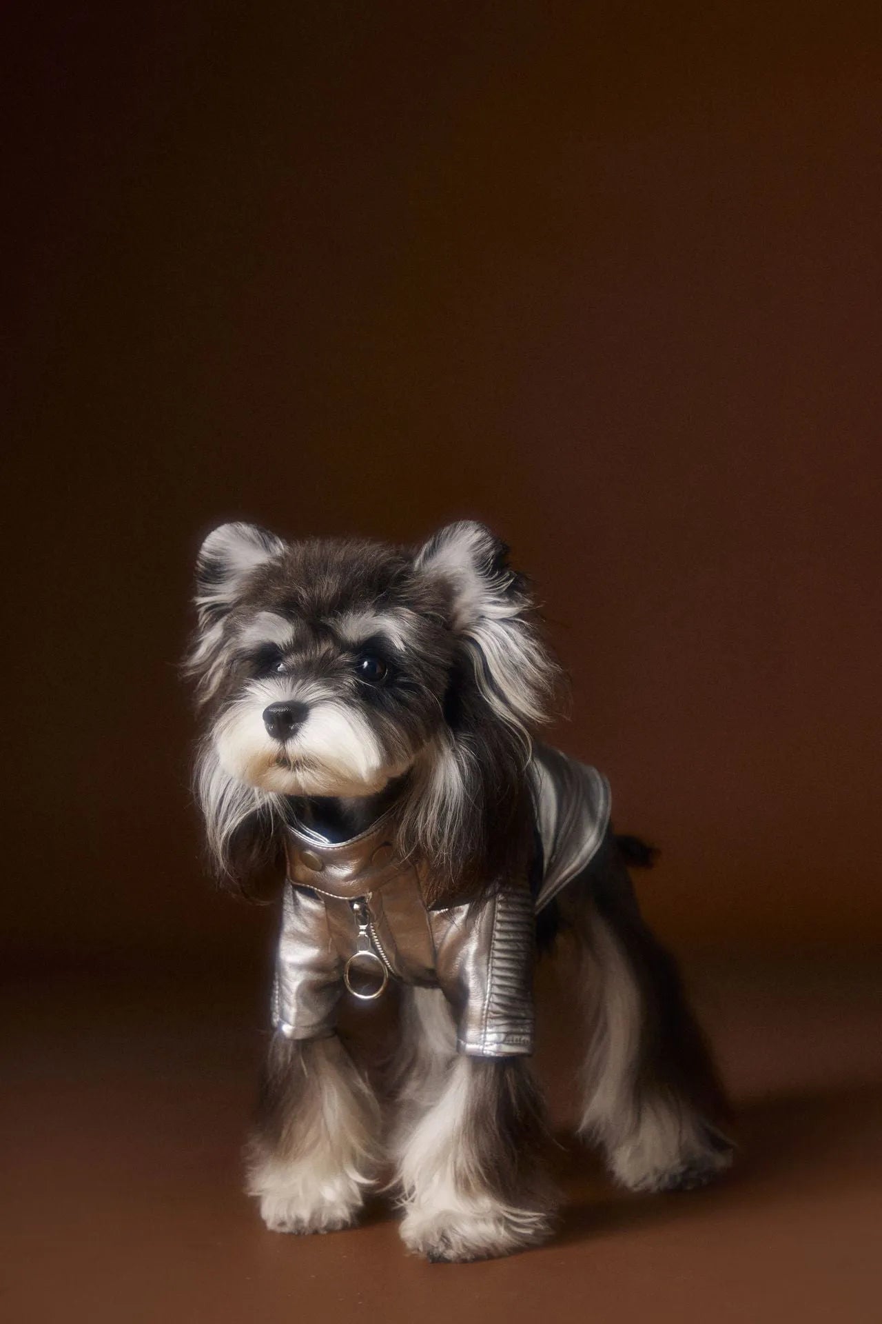 Distressed silver PU and viscose pet coat for small to medium dogs, available in sizes XS to XXL