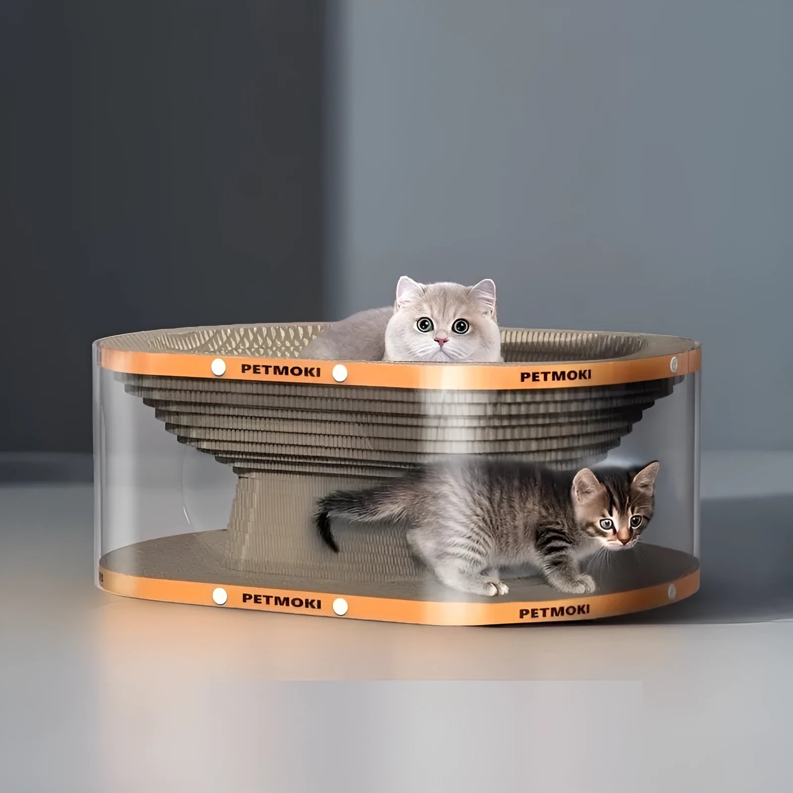 Transparent diamond-patterned cat scratch board and nest tunnel toy measuring 58x45x23cm