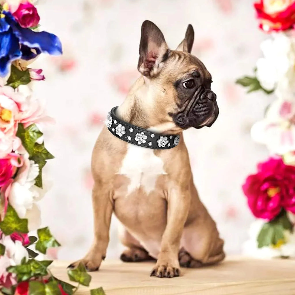 Rhinestone and studded flower pattern on a black adjustable PU leather dog collar with metal D-ring