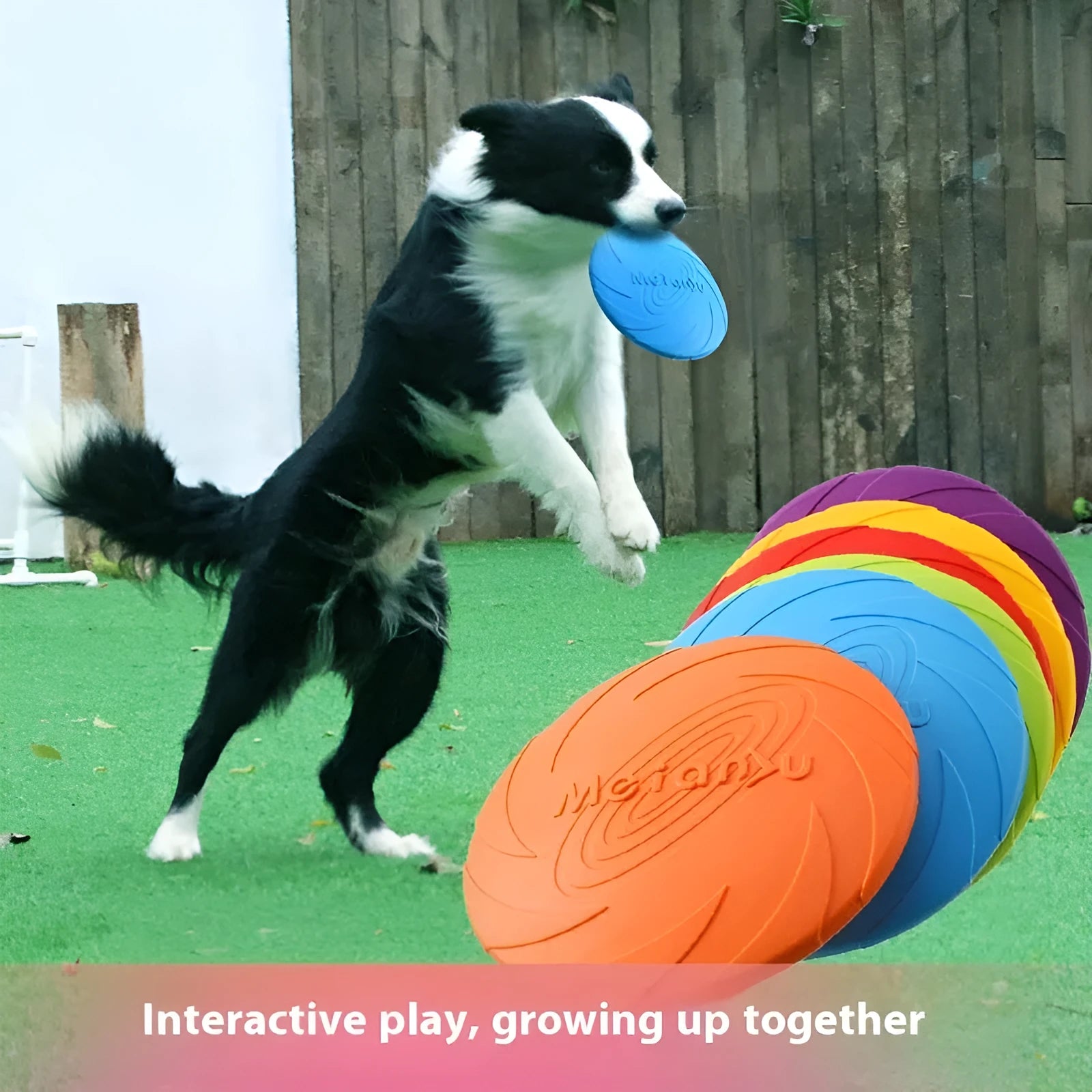 Soft rubber dog frisbee toy in red, blue, and green colours shown in small, medium, and large sizes.