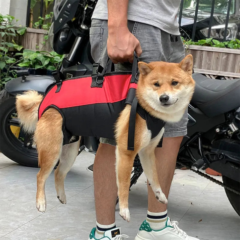 Multifunctional Oxford cloth pet backpack shown in black, designed for use as a backpack or an airborne walking stretcher.