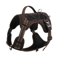 Orange PU dog vest harness with an integrated black hand-holding rope leash, shown on a medium-sized dog.