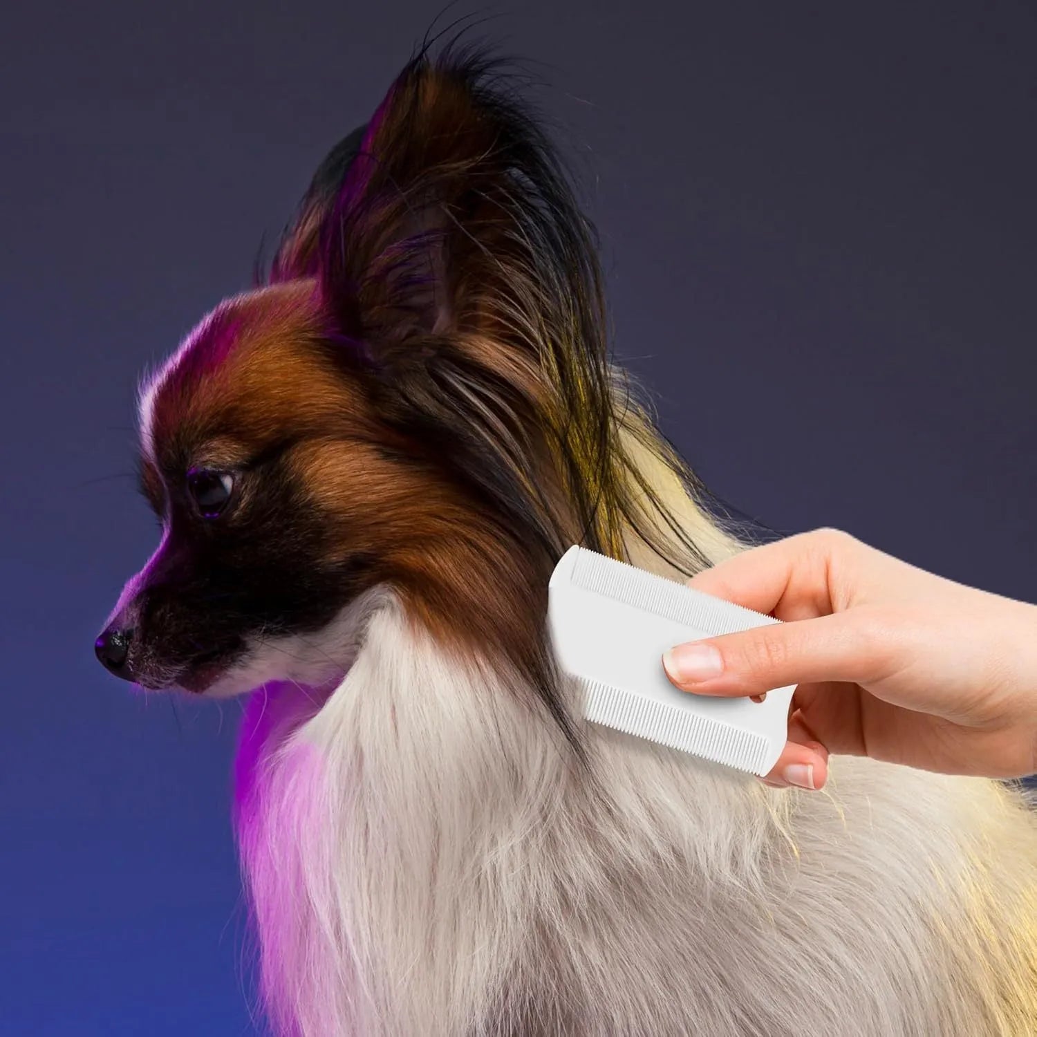 A small, white, double-sided plastic flea comb for pet face and tear stain grooming.