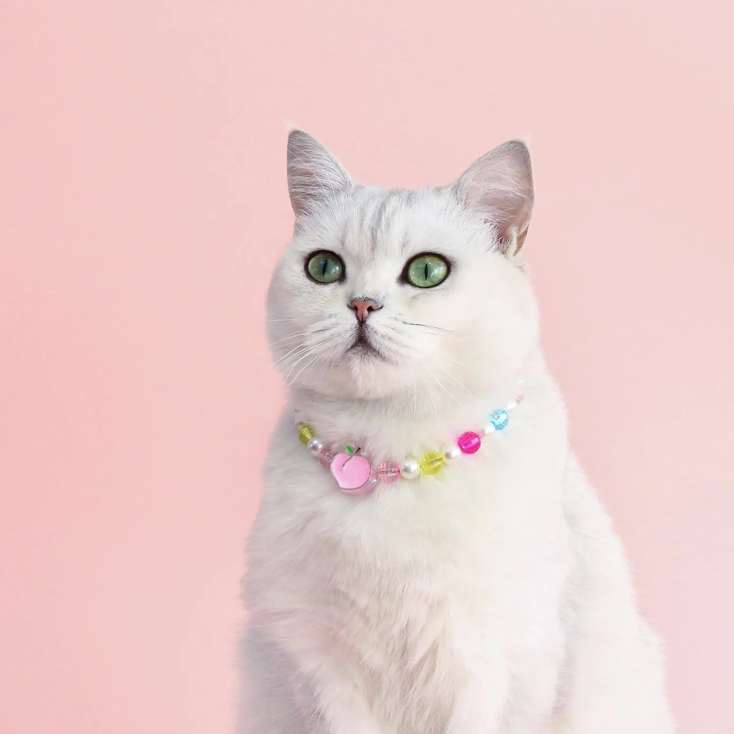 Colorful plastic bead cat necklace in peach rainbow or small flower pattern for pets